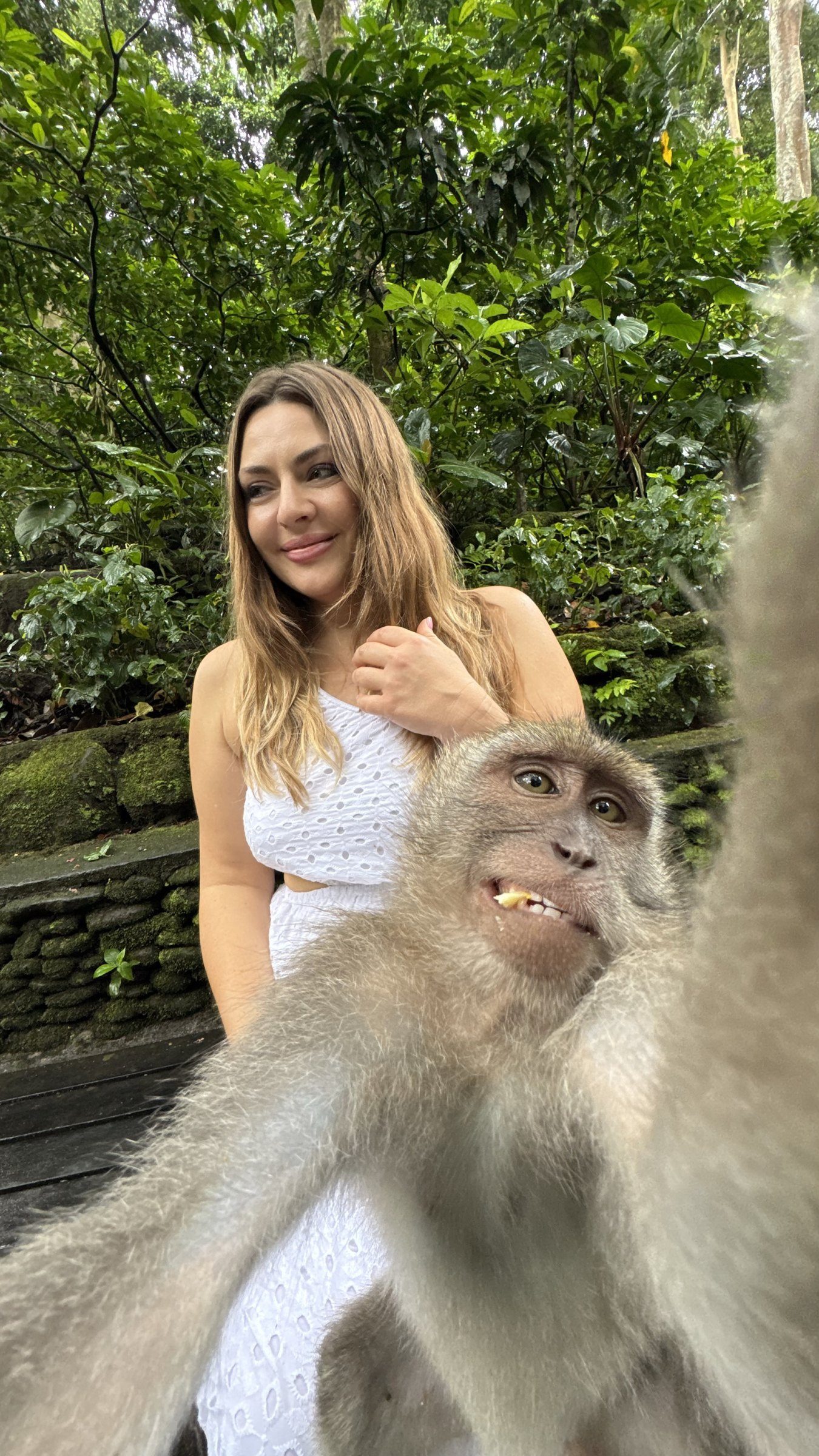 A monkey stealing the frame in Bali